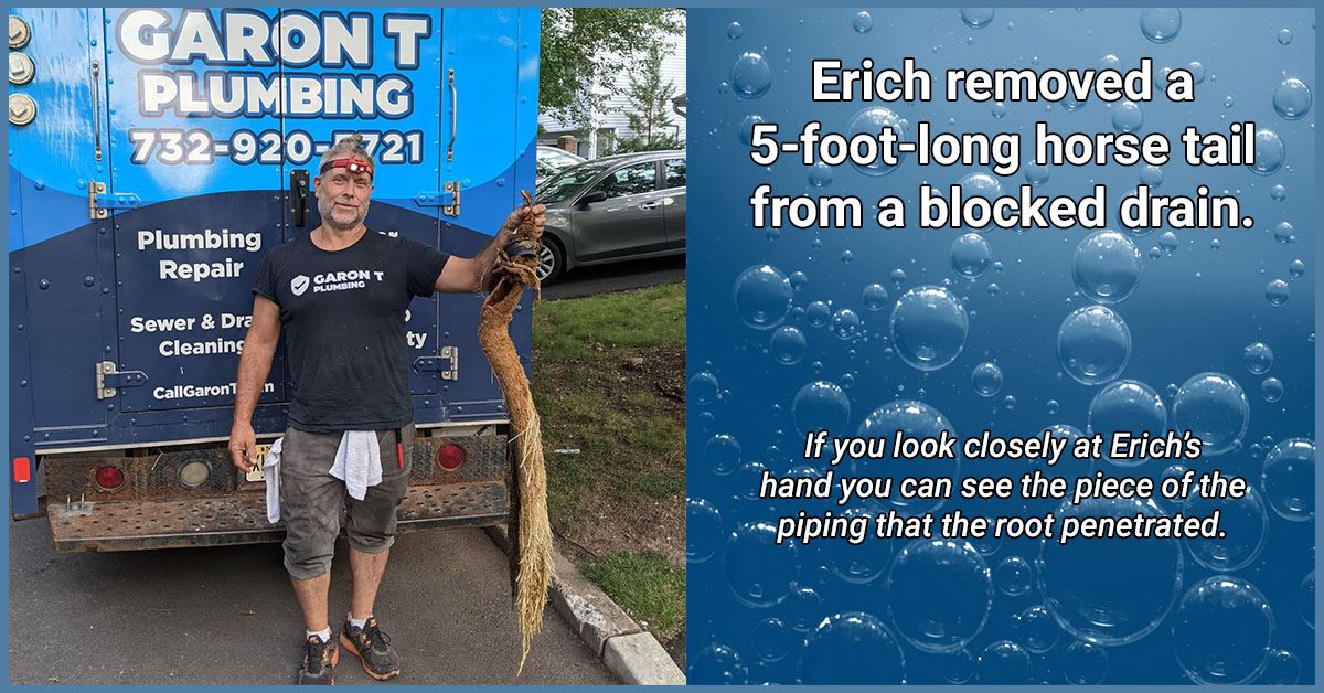 Image of a Garon T Plumbing, Heating, and Air Conditioning plumber, Erich, with a 5-foot-long root that had penetrated, broken and clogged a sewer line. Roots like these are called horse tails by plumbers.