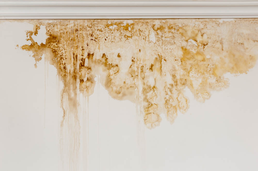 Water-stained walls/ceilings